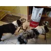heure de manger