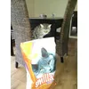 limon surveille ses croquettes
