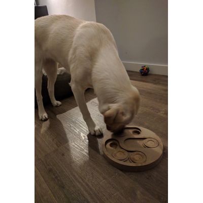 Ze vind hem geweldig De kleine van de twee besteld