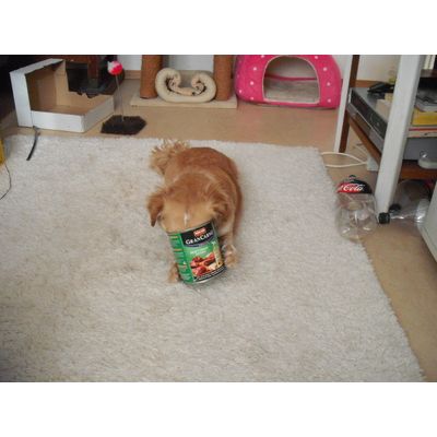 hmmm das schmeckt