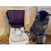 CatMateC3000-1