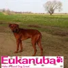 Aramis liebt Eukanuba