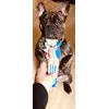 Leon aime beaucoup 