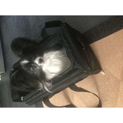 Sherpa koko M