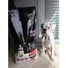 Gori