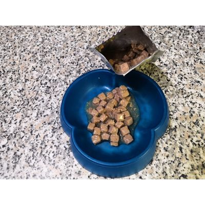 Kattovit Renal