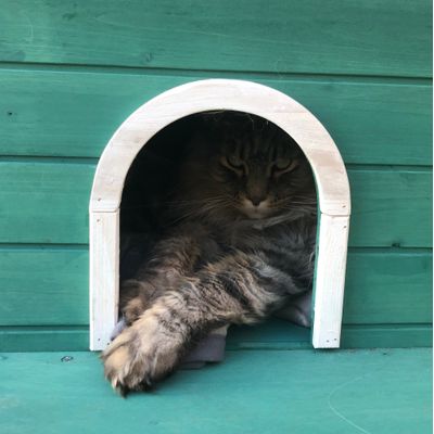 Otis i katthus