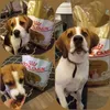Royal canin his favorite