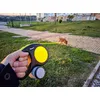 Flexi Neon fita 5 m da Bolota