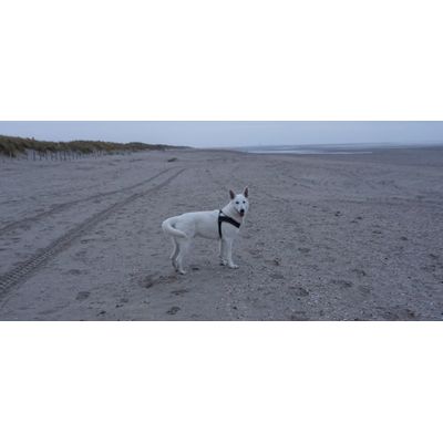 Zit super vooral door de zachte binnenkant