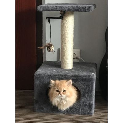 Fluff balls
