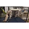 Jouet aussi pour furet