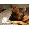 KiGo impazzisce per questi snack