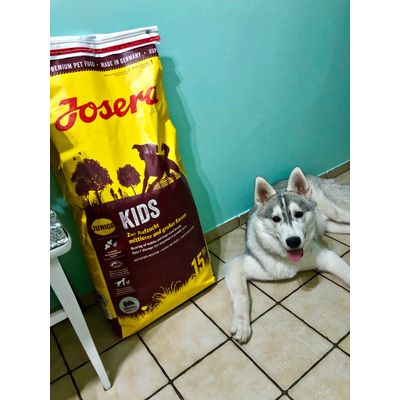 Loki i josera Kids