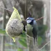 Blaumaise  