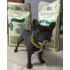 Hermes il Bullo