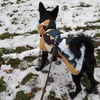 Perfekt fuer Schnee und Tauwetter
