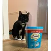 Stalking his snacks 