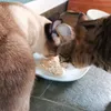 Schmeckt so gut wie es aussieht 
