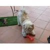Benny