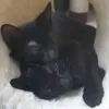 warm and cozy