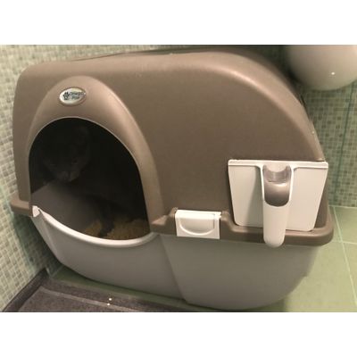 Best litter box ever