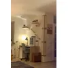 Jungle gym