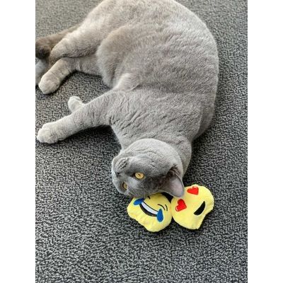 Emoji