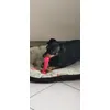 acquisto azzeccato