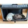Bichon kennel L