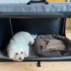 Bichon kennel L