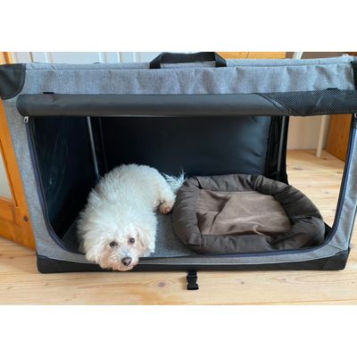 Bichon kennel L