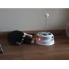 Milow is dol op zijn kattencarrousel