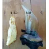 Vergleich von Wild Hirschohren und Bio Ohren