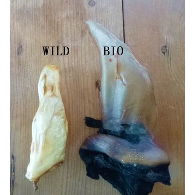 Vergleich von Wild Hirschohren und Bio Ohren