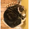 So cosy 