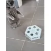 Trixie turning