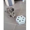 Trixie turning
