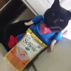 Il mio supererore