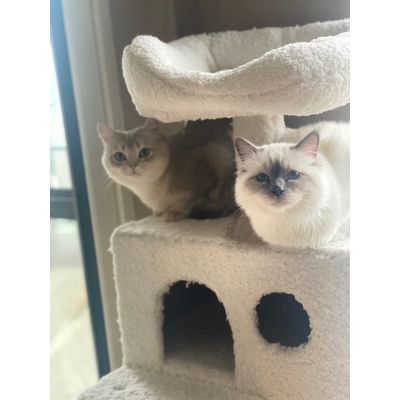 They love it