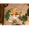 Nana appena arrivata