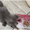 she loves it