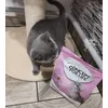 Kitten 400g