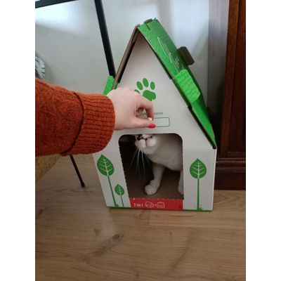 Kartonowy domek