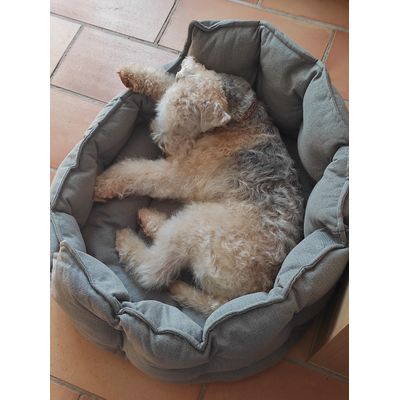 whaouuu trop bien mon nouveau dodo