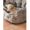 trop bien le nouveau dodo