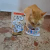 Rambo con sus snacks favoritos 
