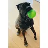 Lieblings Ball 