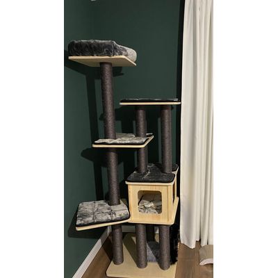 Ansamblu de joaca pisici
