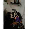 Bailey mit Ente
